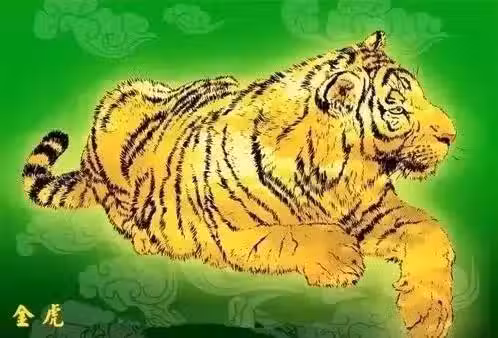 屬虎的人今年是轉運金虎，38年一次，快來接
